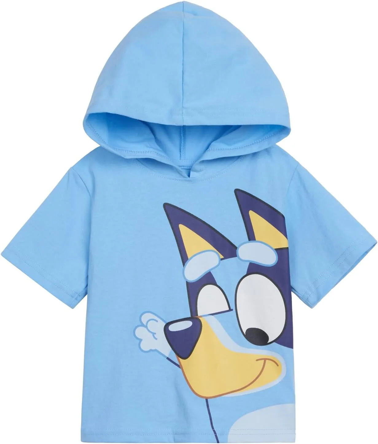 Bluey Pullover Hoodie and French Terry Shorts Toddler to Big Kid Sizes (2T - 10-12)