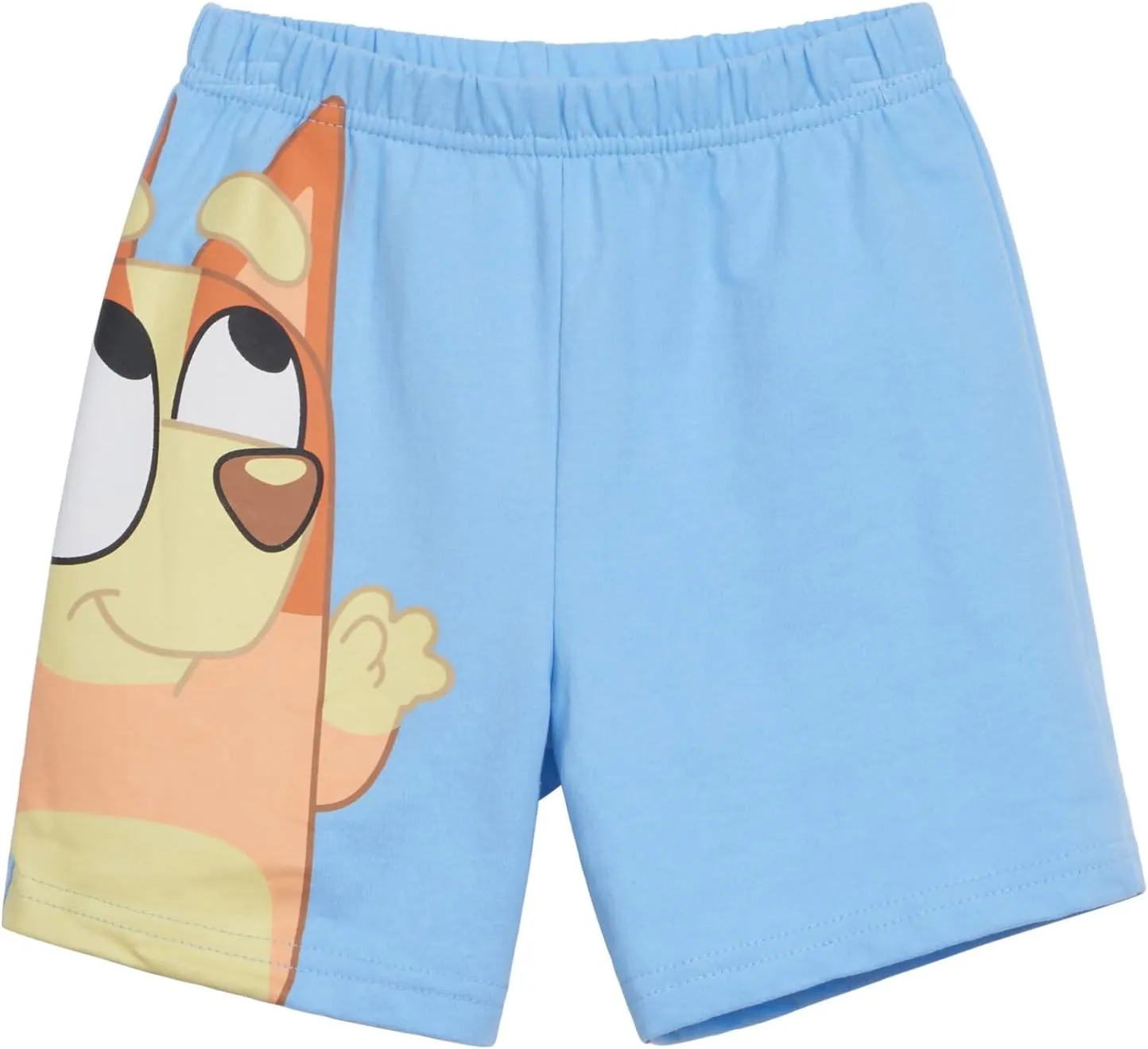 Bluey Pullover Hoodie and French Terry Shorts Toddler to Big Kid Sizes (2T - 10-12)